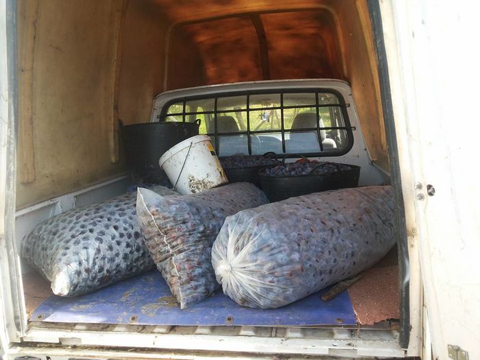 13932784_1331727913523747_128926596528711820_n