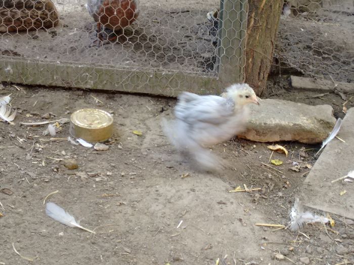 IMG_20160815_100351080