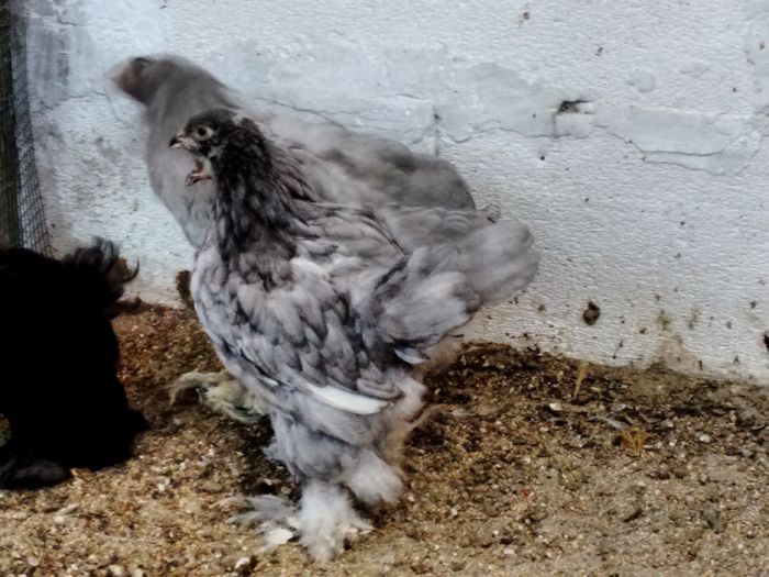 IMG_20160816_180633920