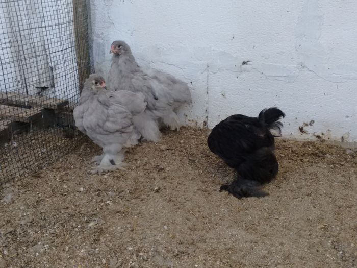 IMG_20160816_180641127