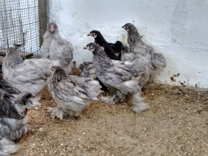 IMG_20160816_180649541_HDR