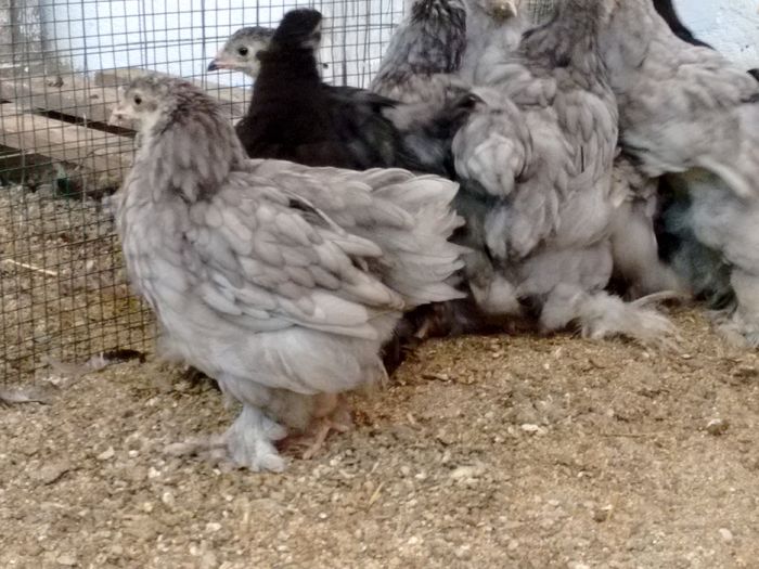 IMG_20160816_180658996