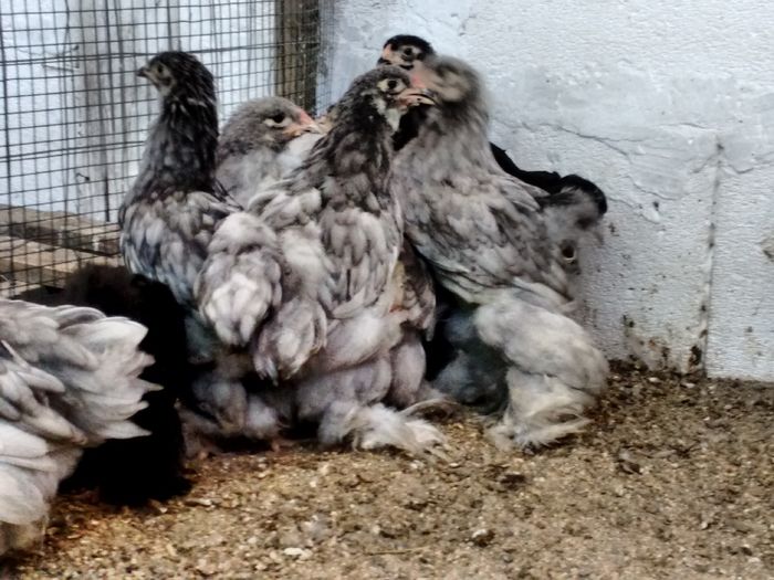 IMG_20160816_180702158