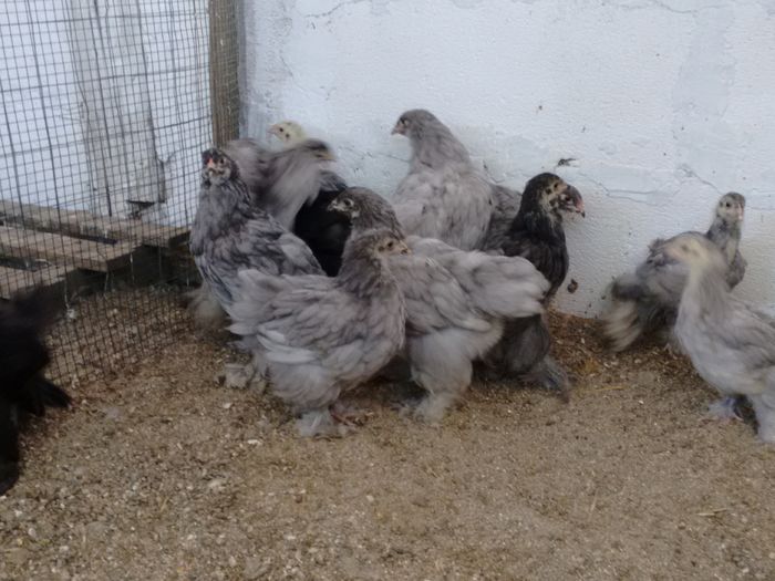 IMG_20160816_180718088