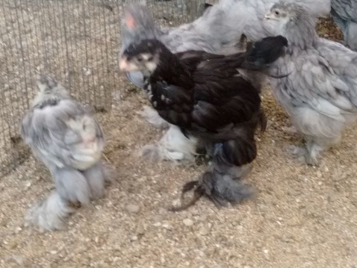 IMG_20160816_180734756