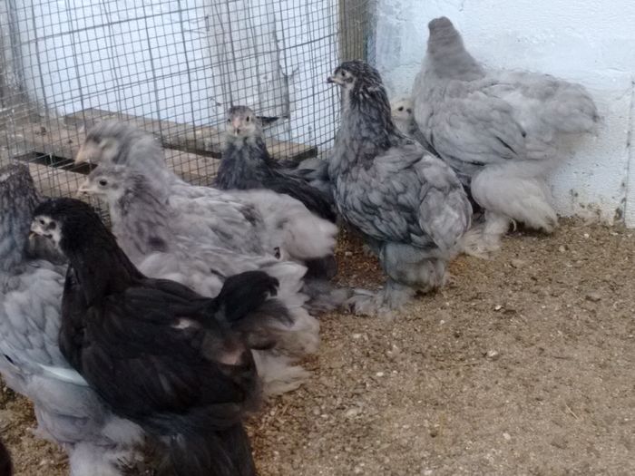 IMG_20160816_180738504