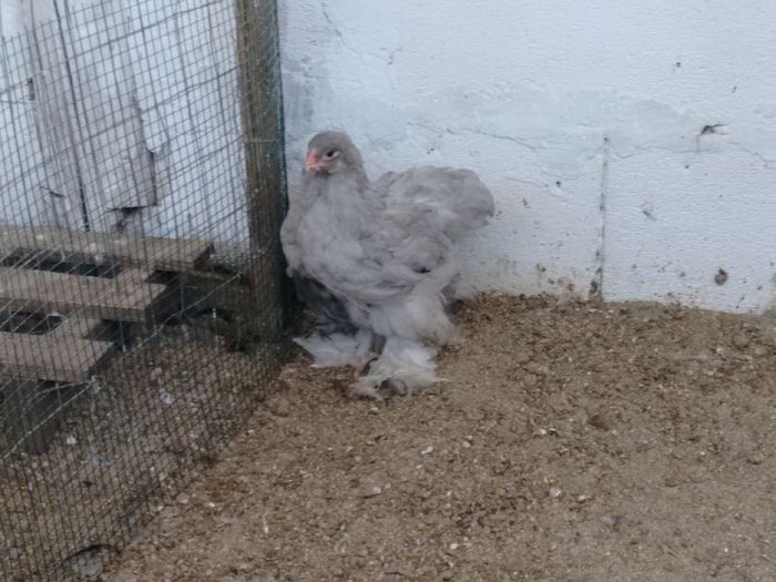 IMG_20160816_180816489