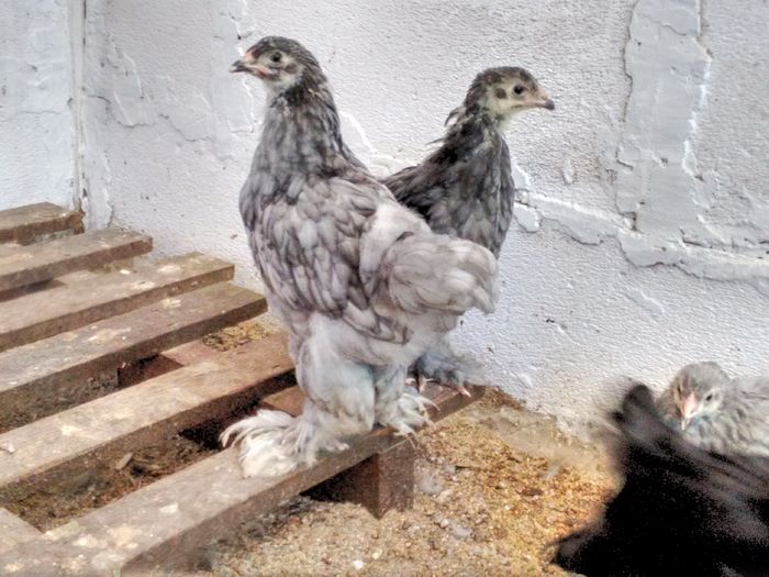 IMG_20160816_180831199_HDR