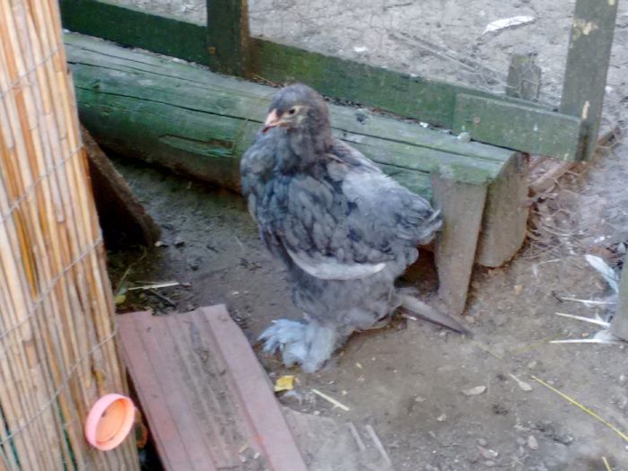 IMG_20160816_180857658