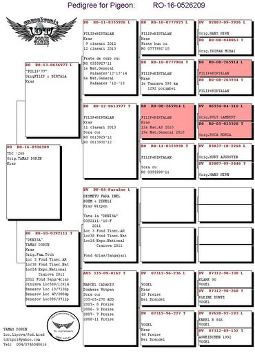 pedigree 3 - ACHIZITII 2016