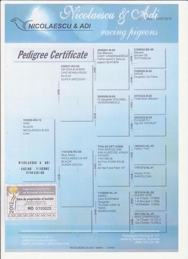 4 tata pedigree - ACHIZITII 2016