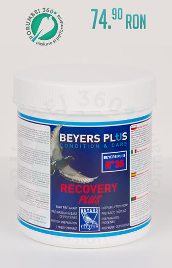 porumbei360.ro Recovery Plus - 1 - MANCARE PORUMBEI BEYERS BELGIUM si PRODUSE CONDITIONARE BEYERS PLUS