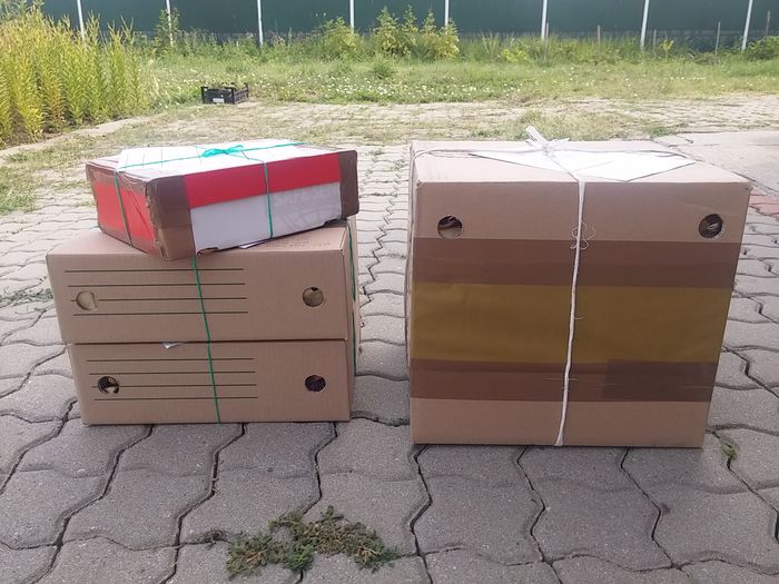 cutii cu perforatii pentru ventilatie - Oferta lalele 2016 - livrare imediata din stoc propriu