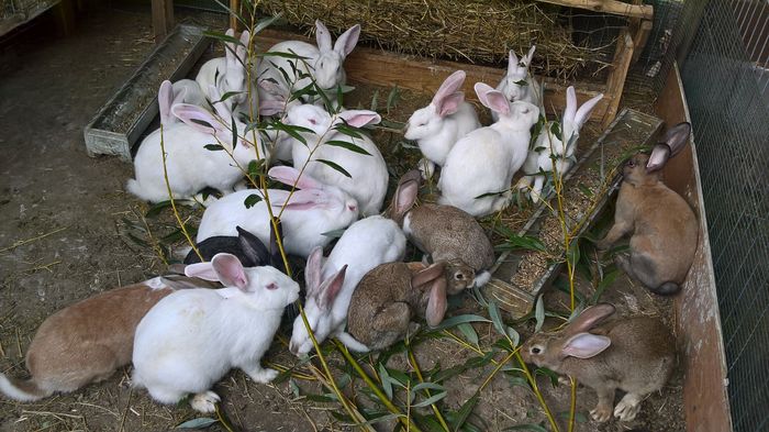 WP_20160819_13_30_43_Pro