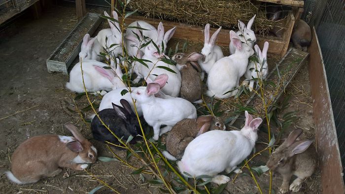 WP_20160819_13_30_53_Pro