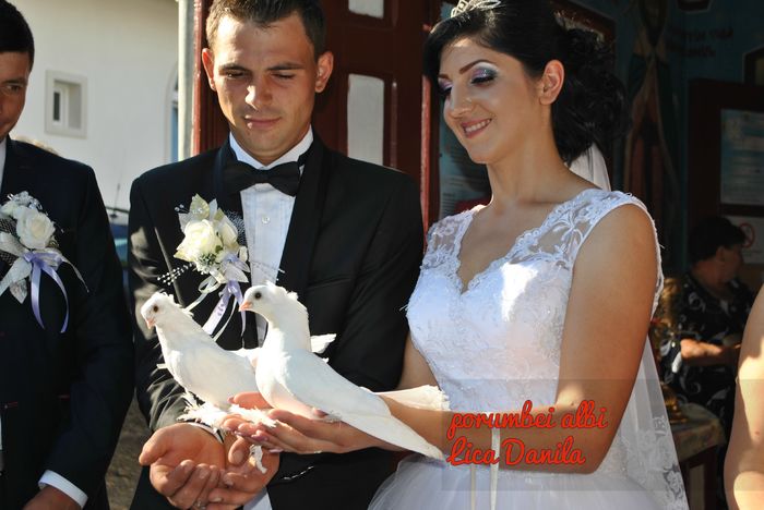Lucian si Andreea - 01 PORUMBEI ALBI pentru nunti si botezuri