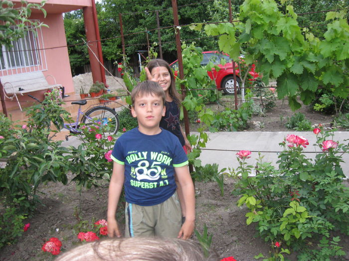 poze trandafiri 023 - My treasures