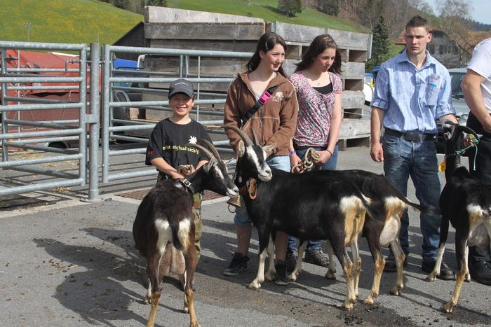 Iarasi frumuseti deosebite