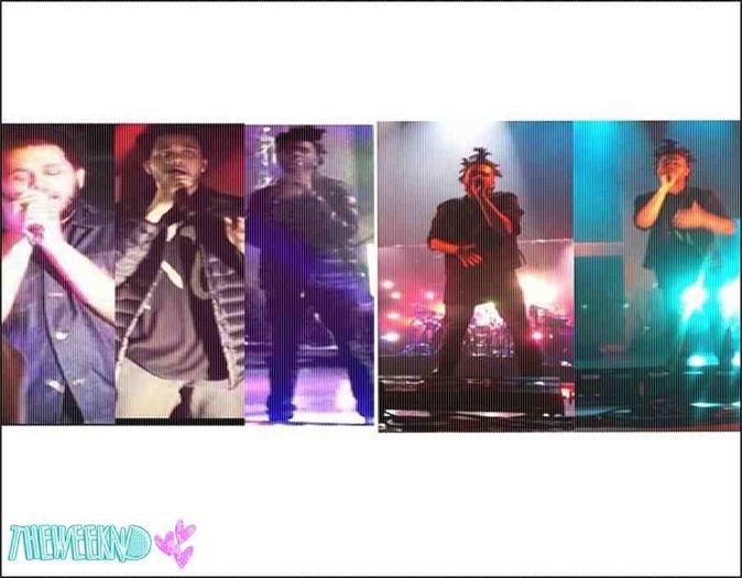 ☪ 23.08.2016 │ day 388 ϟ