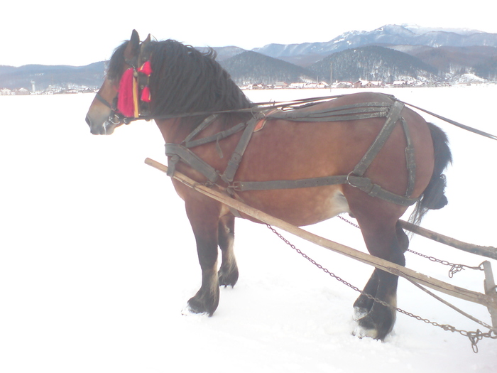 radu,2 ani si 7 luni