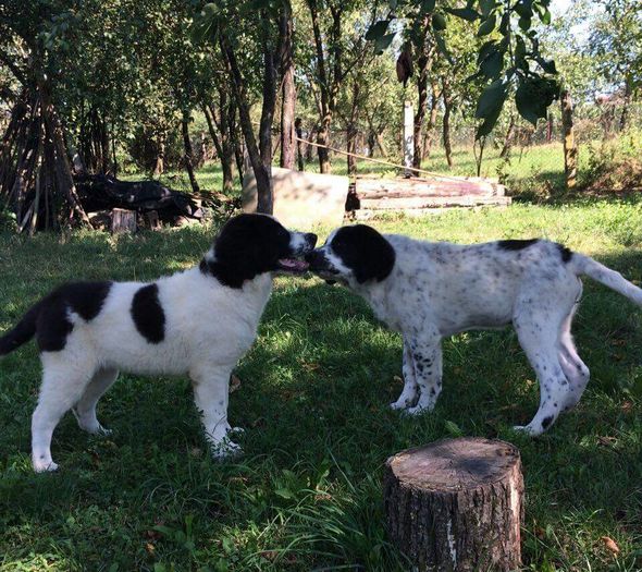 received_10209533882116360-1