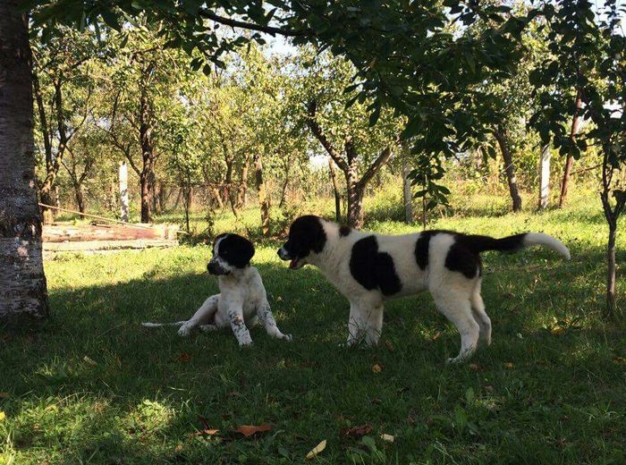 received_10209533883836403-1