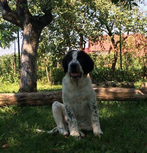 received_10209533888316515-2