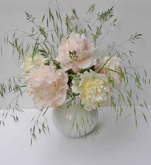 © - 01 - Floristica