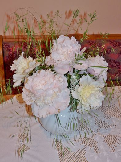 © - 01 - Floristica