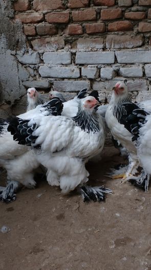 IMG_20160822_103949055