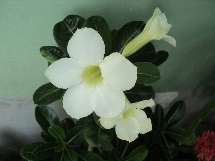 22 aug 2016 22 aug 2016