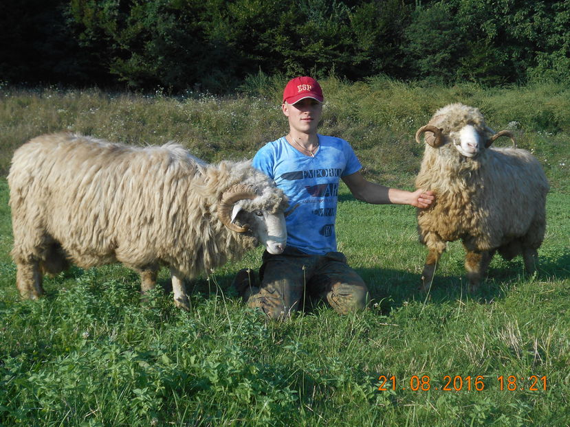 Picture 534 - Berbeci 2015-2016