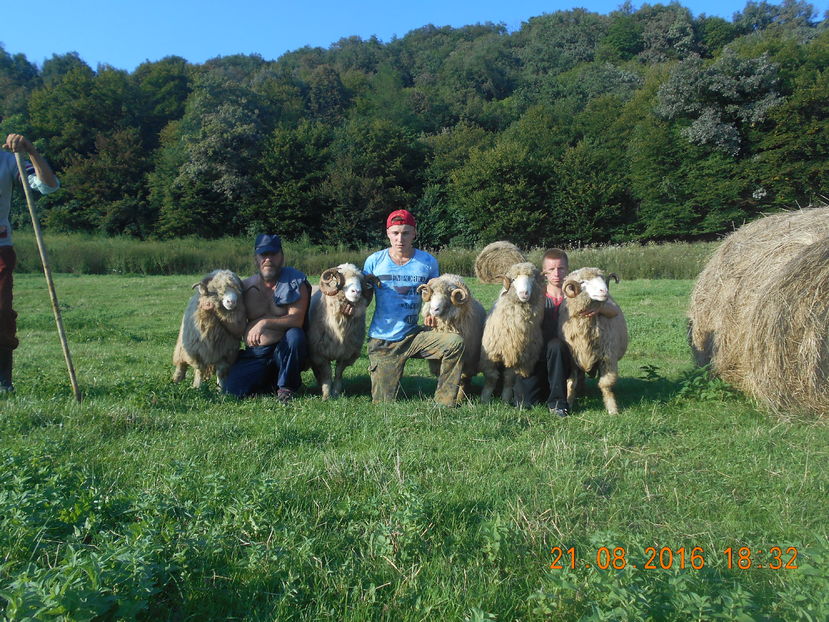 Picture 554 - Berbeci 2015-2016