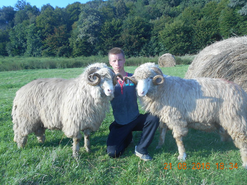 Picture 560 - Berbeci 2015-2016