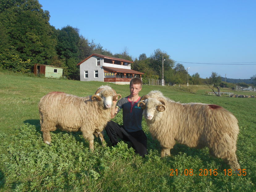 Picture 564 - Berbeci 2015-2016