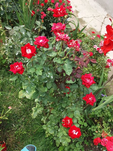 vedere de ansamblu %u2764