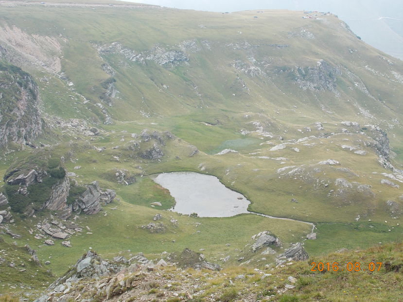 Transalpina