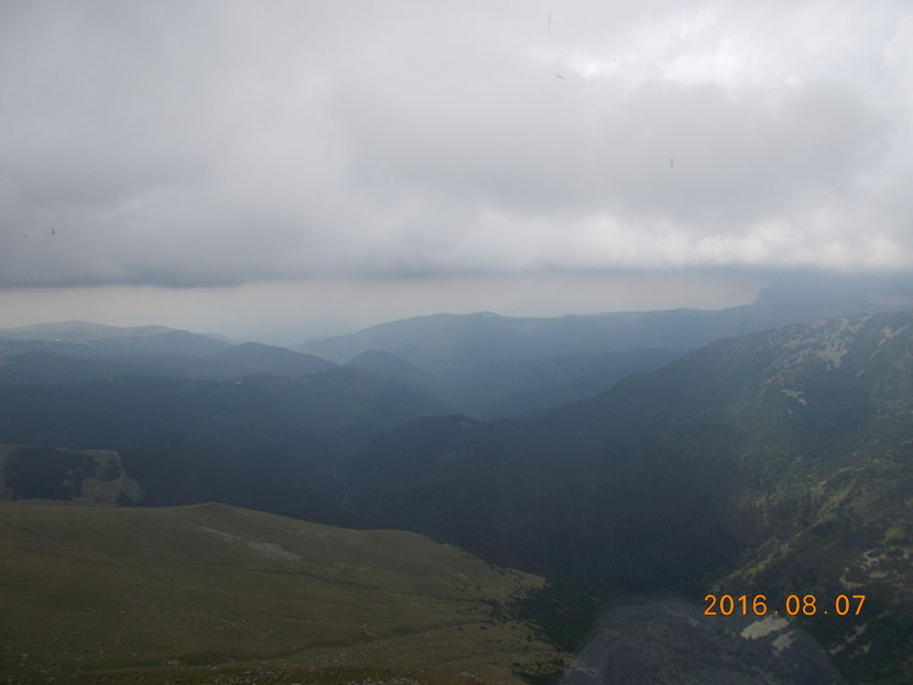 Transalpina