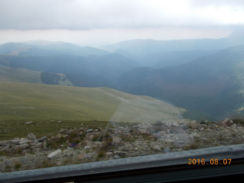 Transalpina
