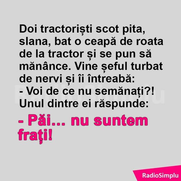 13900152_1099096186794538_4885679871739248086_n - Diverse