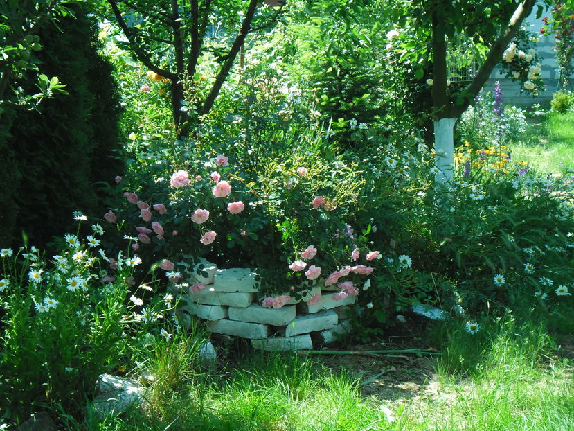 THE FAIRY