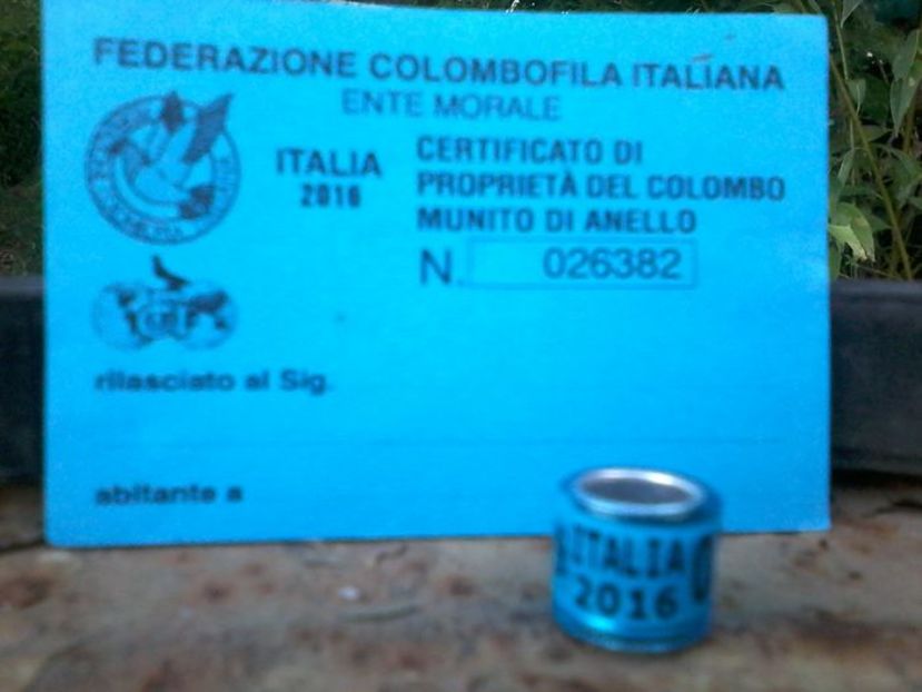 ITALIA 2016 FCI - Inele De Colectie IT Italia