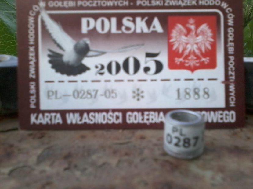 POLONIA 2005 - Inele De Colectie PL Polonia
