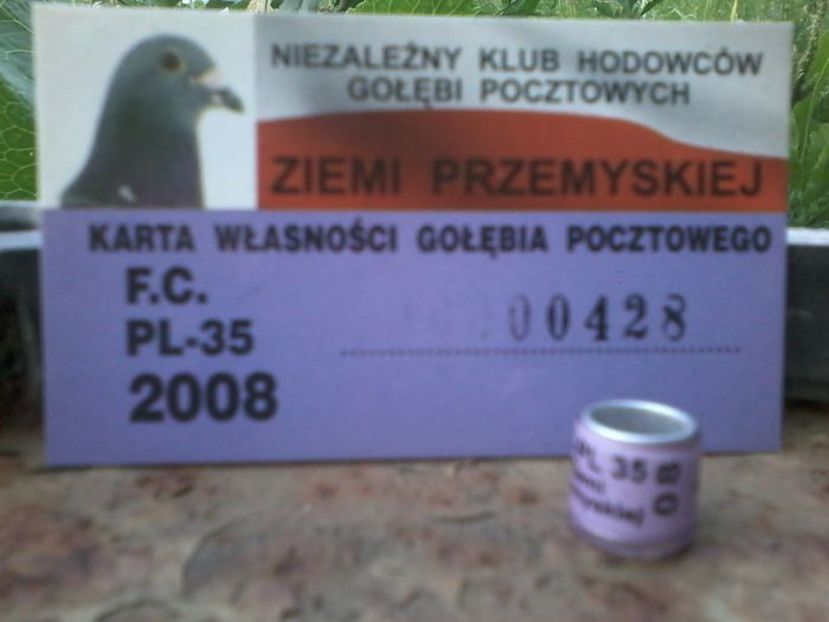 POLONIA 2008 - Inele De Colectie PL Polonia