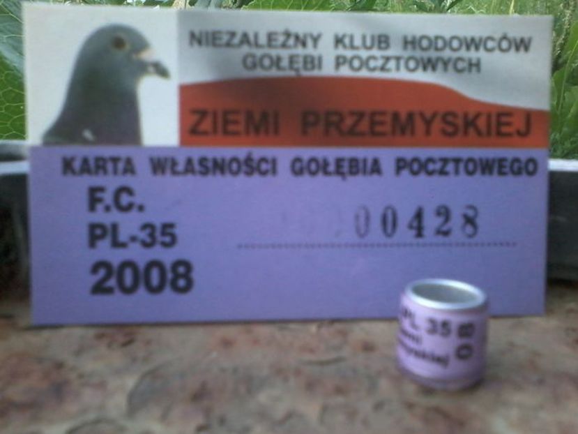 POLONIA 2008