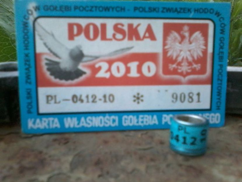 POLONIA 2010 - Inele De Colectie PL Polonia