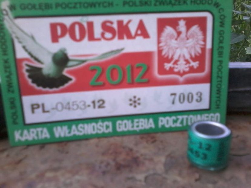POLONIA 2012