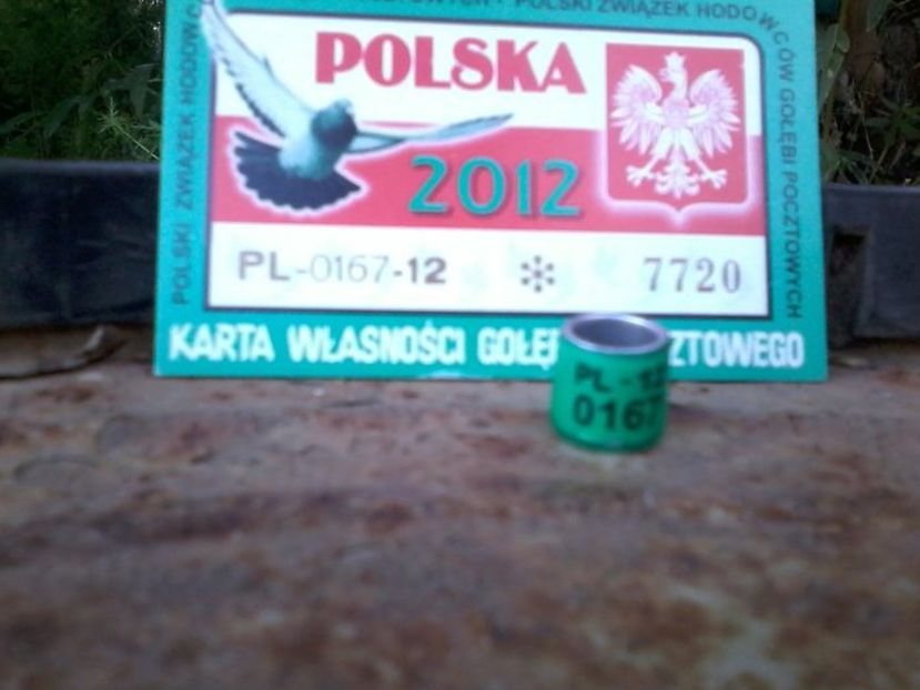 POLONIA 2012 - Inele De Colectie PL Polonia