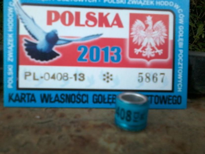 POLONIA 2013 - Inele De Colectie PL Polonia