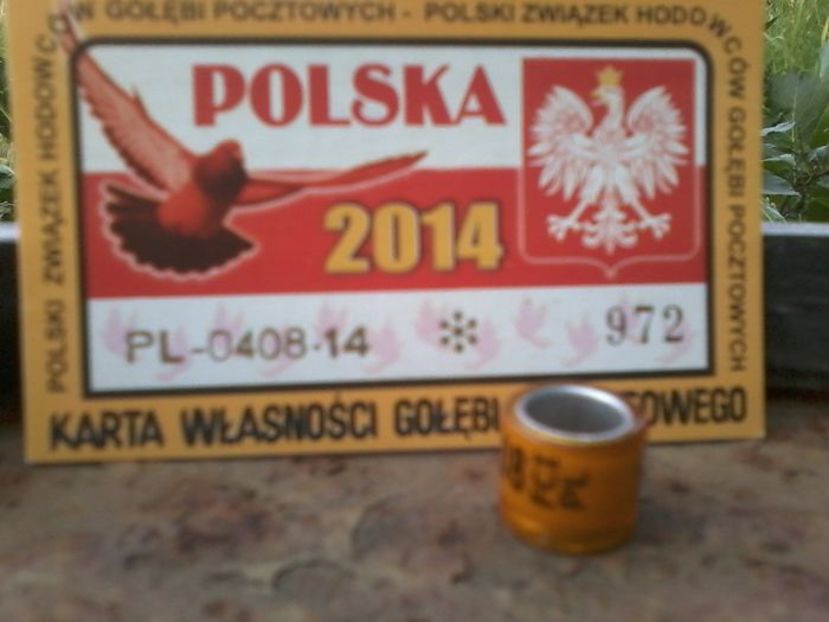 POLONIA 2014 - Inele De Colectie PL Polonia